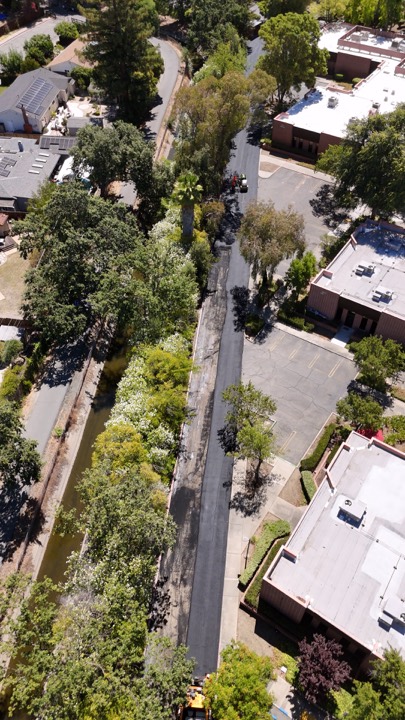 Aerial view of a freshly paved road through trees